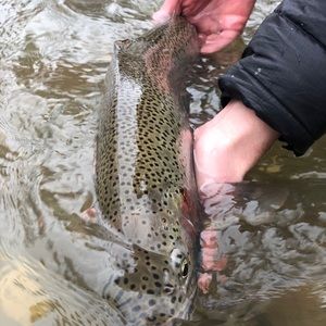 Meet your Posher, Greg